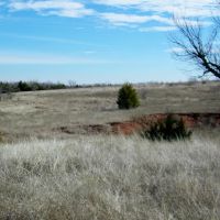 20 Acres for Hobby Farm Horses Homesite and Hunting