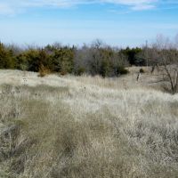 20 Acres for Hobby Farm Horses Homesite and Hunting images 3