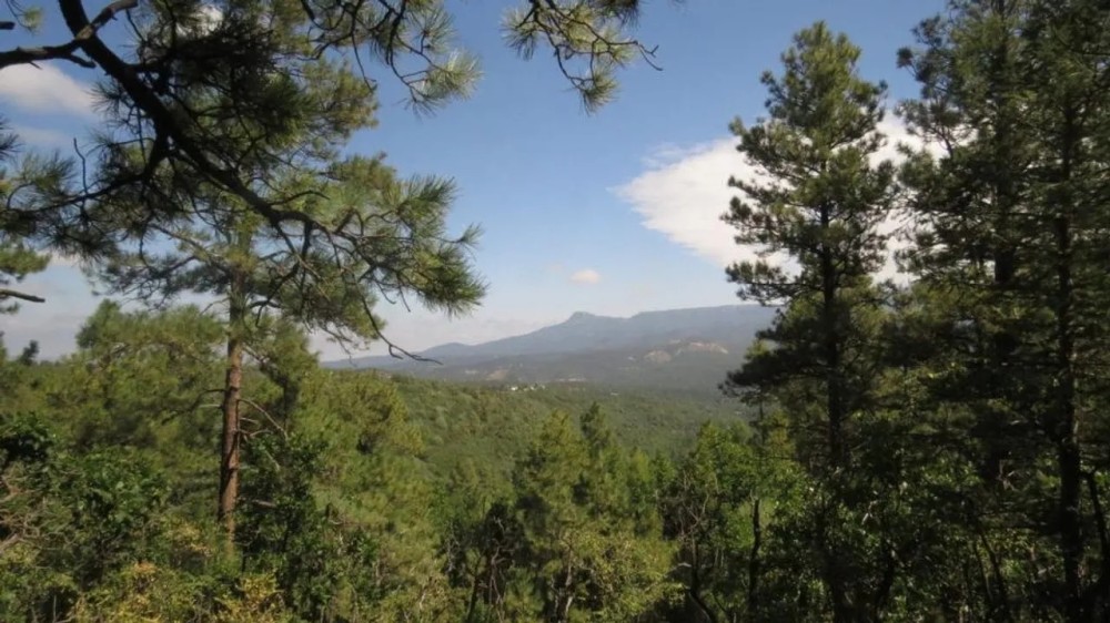 F29 Santa Fe Trail Ranch featured image