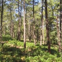 F29 Santa Fe Trail Ranch images 2