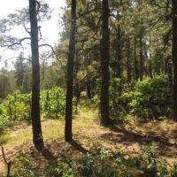 F29 Santa Fe Trail Ranch images 3