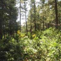 F29 Santa Fe Trail Ranch images 4