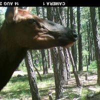 F29 Santa Fe Trail Ranch images 5