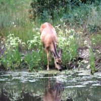 E18 Santa Fe Trail Ranch images 2