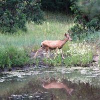 E18 Santa Fe Trail Ranch images 3