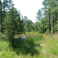 E18 Santa Fe Trail Ranch images 4