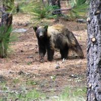 E18 Santa Fe Trail Ranch images 5