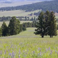Montana Little Valley Ranch images 4