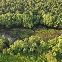 76 Acres in Leflore County in Greenwood MS images 2