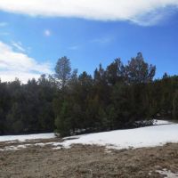 58 Blackhawk Ranch images 3
