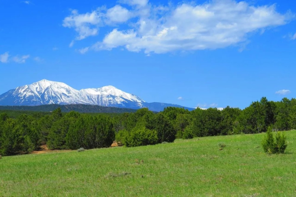 91 Silver Spurs Ranch featured image