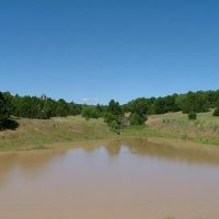 91 Silver Spurs Ranch images 2