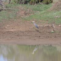 91 Silver Spurs Ranch images 3