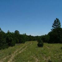 91 Silver Spurs Ranch images 5