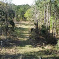 Smith Co TX Recreational Development Land for Sale images 5