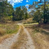 143 Acres Wood Farm Road images 4