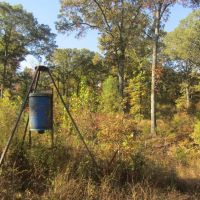 Panoramic Recreational Hunting Land Atoka County OK 30 AC