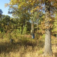 Panoramic Recreational Hunting Land Atoka County OK 30 AC images 3