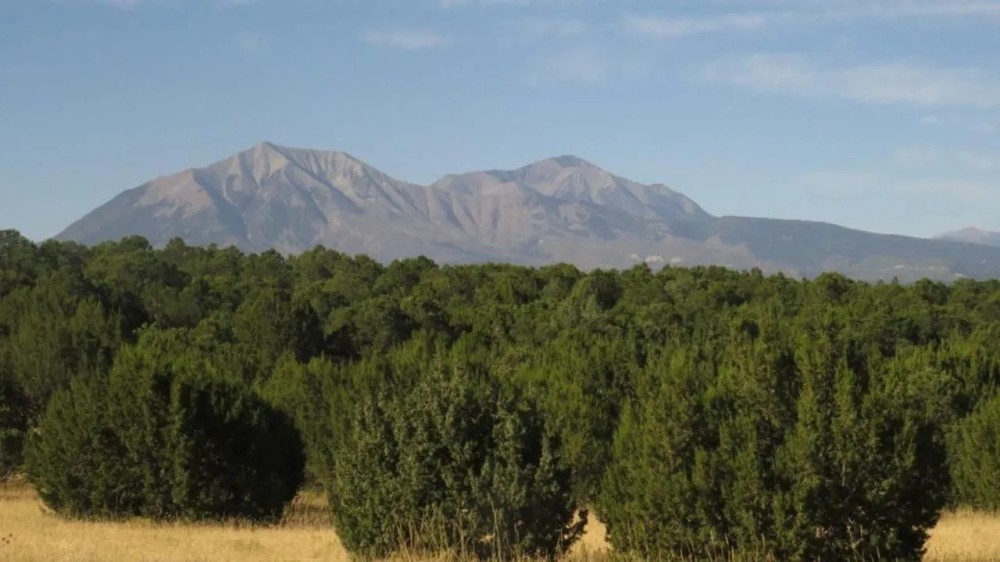 34 Silver Spurs Ranch featured image