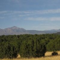 34 Silver Spurs Ranch images 2