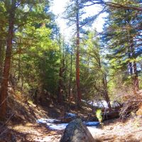8 Milligan Ranch images 3