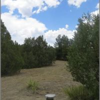 150 Blackhawk Ranch images 2