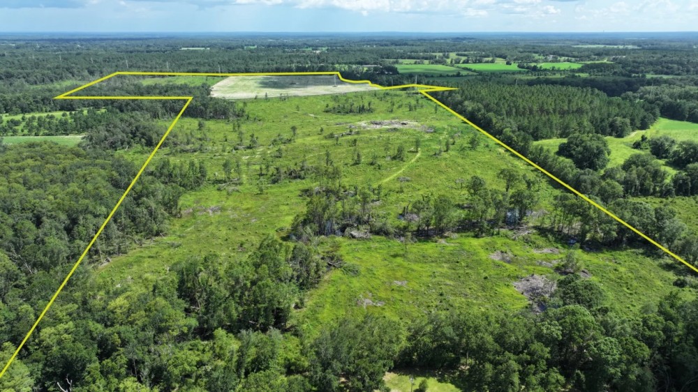 Graceville Longview Farm featured image