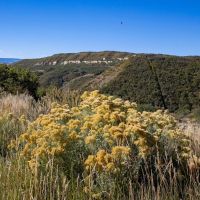 Papoulis Canyon Ranch images 3
