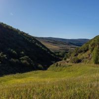 Papoulis Canyon Ranch images 4