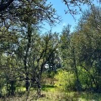 New Listing 120.5 - Acres Brown County images 4