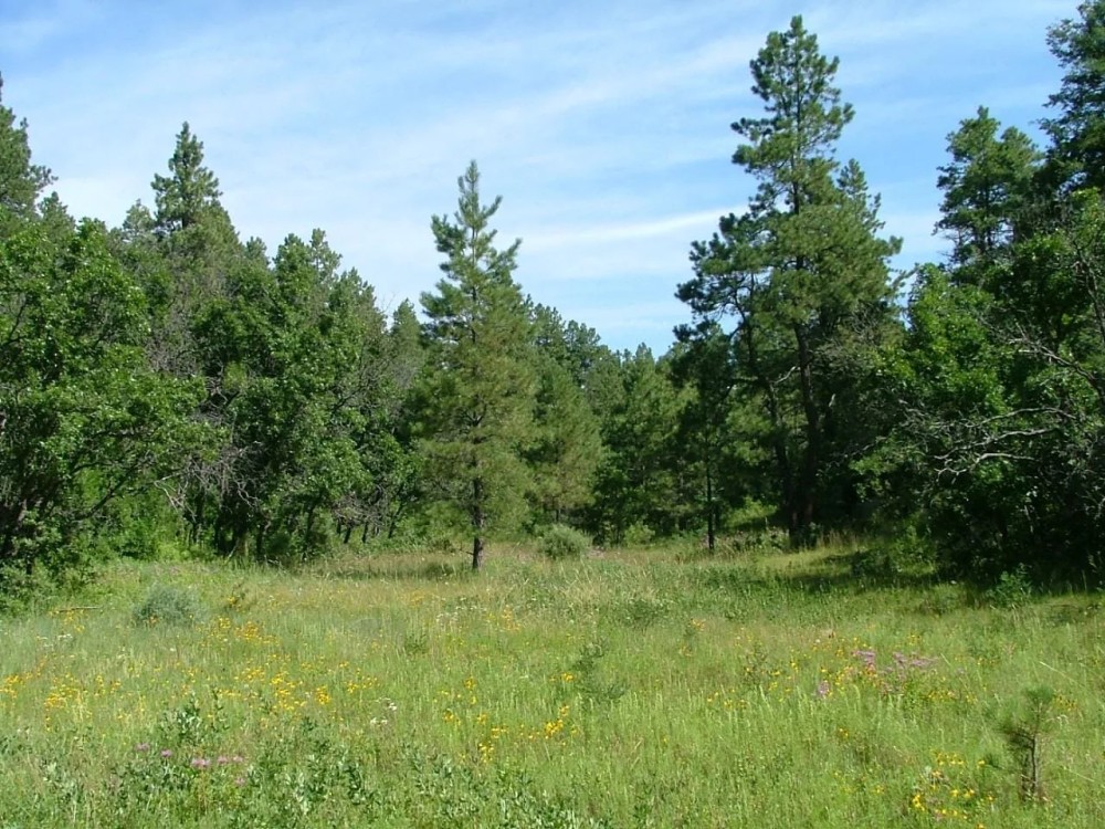E20 Santa Fe Trail Ranch featured image