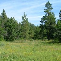 E20 Santa Fe Trail Ranch