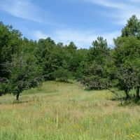 E20 Santa Fe Trail Ranch images 2