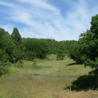 E20 Santa Fe Trail Ranch images 3