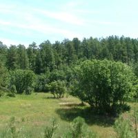 E20 Santa Fe Trail Ranch images 4