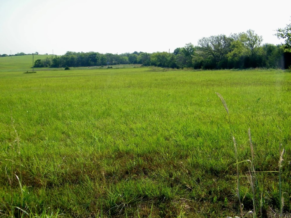 120 Acre Pasture and Hay w Hunting Pawnee County featured image