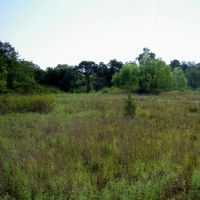 120 Acre Pasture and Hay w Hunting Pawnee County images 3