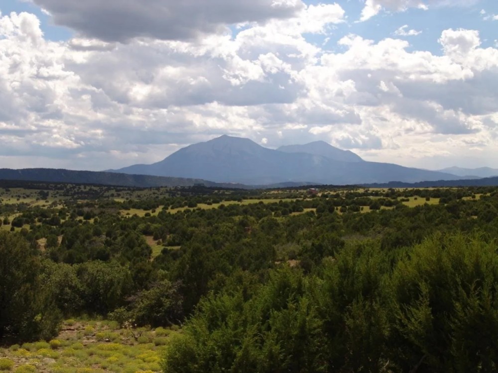 78 Silver Spurs Ranch featured image