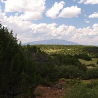 78 Silver Spurs Ranch images 2