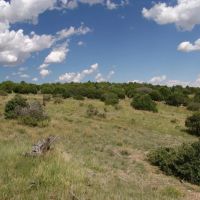 78 Silver Spurs Ranch images 4