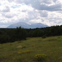 78 Silver Spurs Ranch images 5