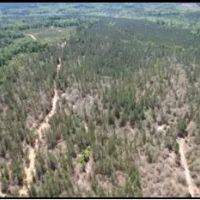 80 Acres in Jasper Clarke County in Vossburg MS images 4