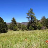 F41 Santa Fe Trail Ranch images 5