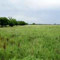 20 Acre Pasture or Homesite images 5