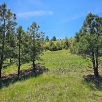 F42 Santa Fe Trail Ranch images 3
