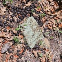 F42 Santa Fe Trail Ranch images 4