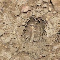 F42 Santa Fe Trail Ranch images 5