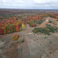 94 - Acre Wooded and Open Field Parcel Kalkaska MI images 3