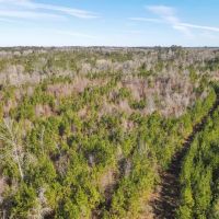 800 Acres Wilkinson County Hunting Land For Sale SW MS