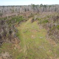 800 Acres Wilkinson County Hunting Land For Sale SW MS images 3